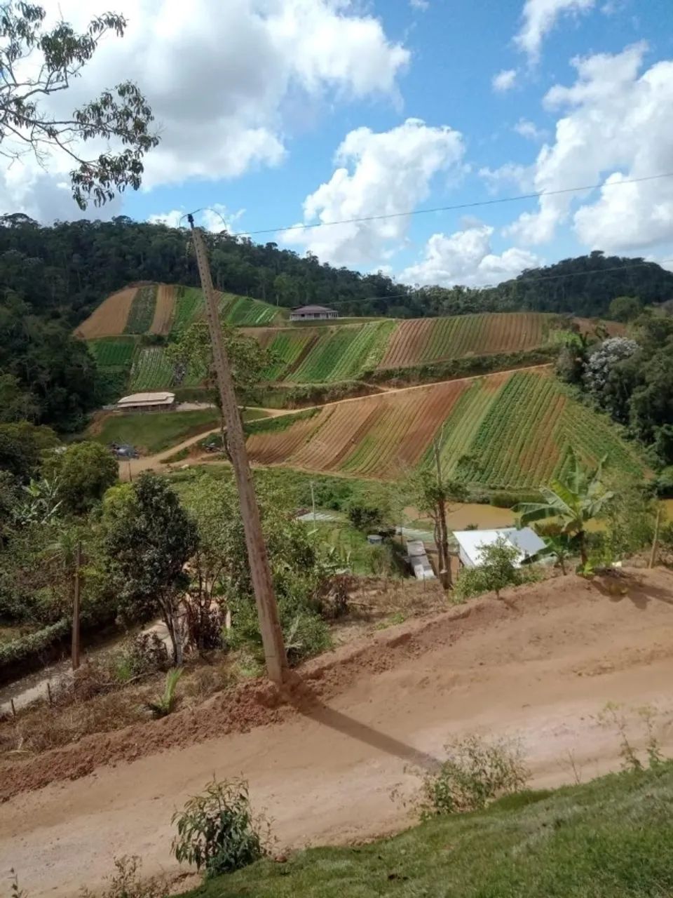 Excelente chácara a 3km de Marechal Floriano  - Foto 4