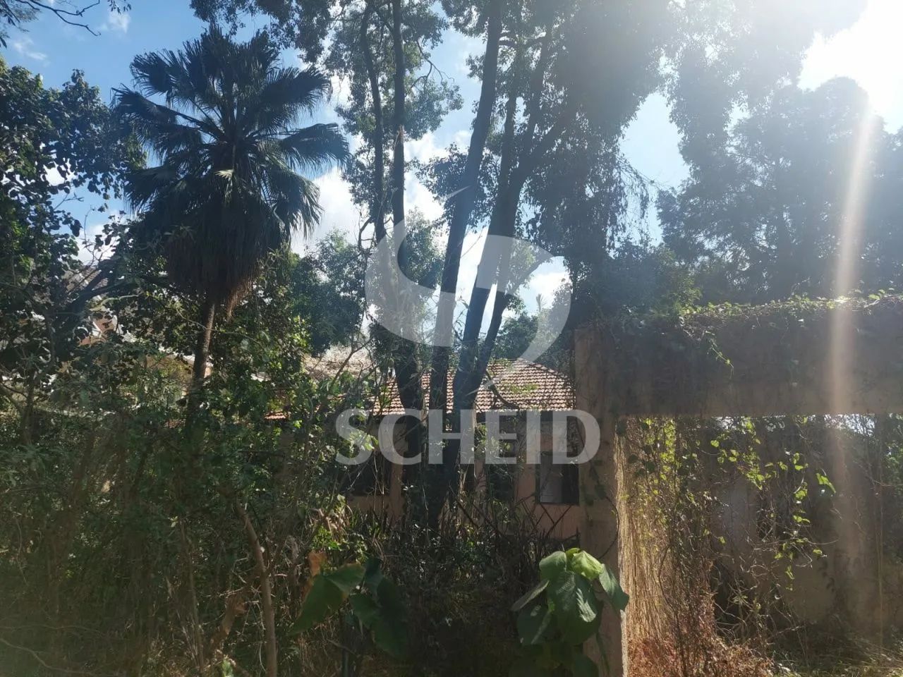 Terreno no Alto da Boa Vista