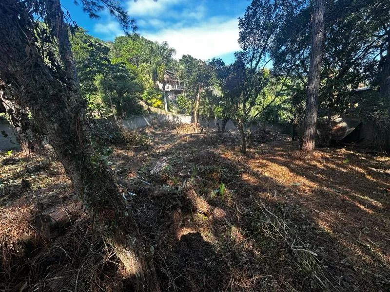 Terreno - Florianópolis SC - Foto 5