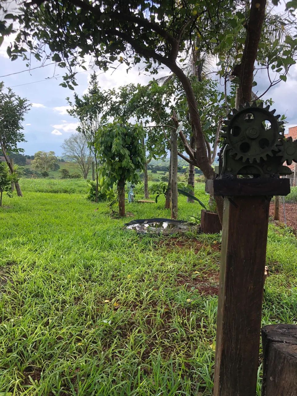 Chácara em Nerópolis  - Foto 4