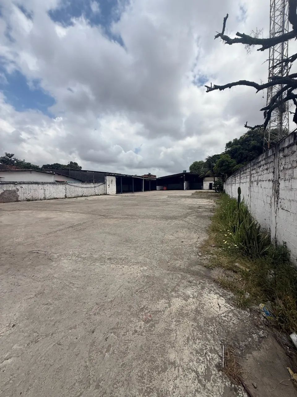 ALUGA-SE IMÓVEL PARA FINS COMERCIAIS - Foto 2