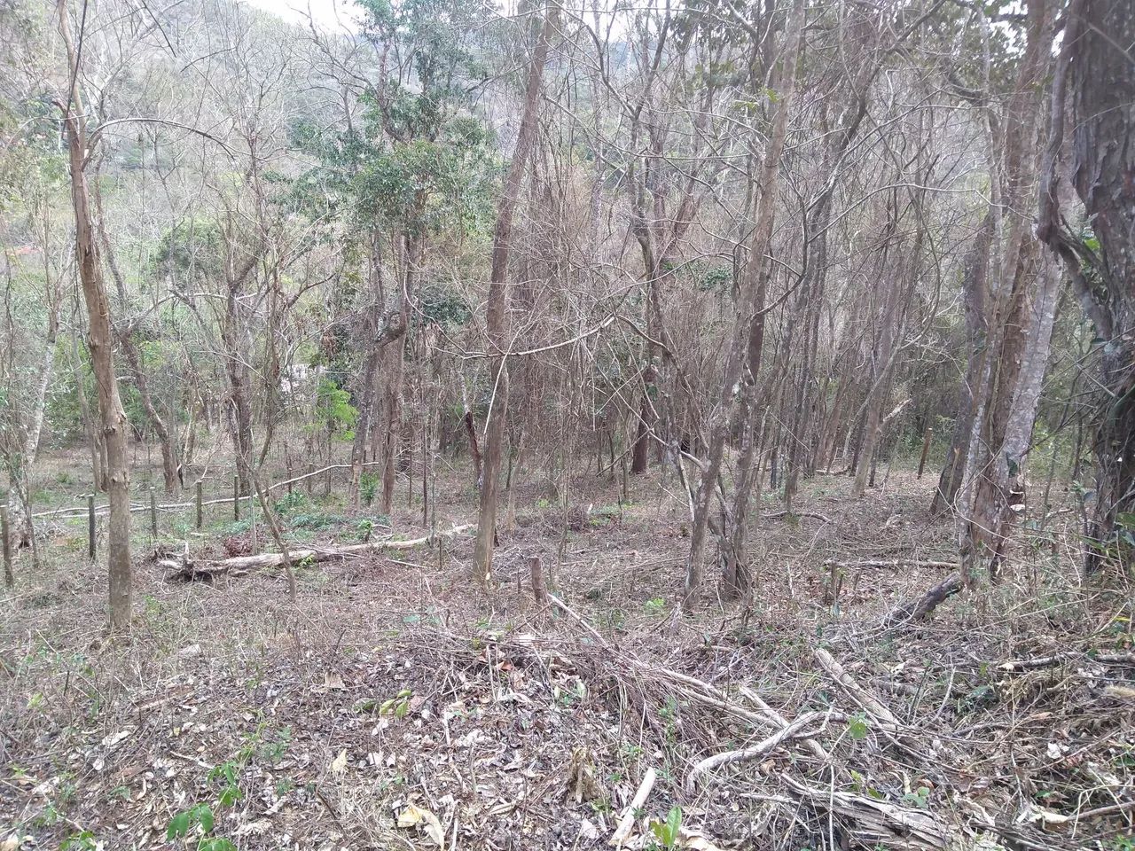 Belo terreno a 500 m do centro do Vale das Videiras  - Foto 2