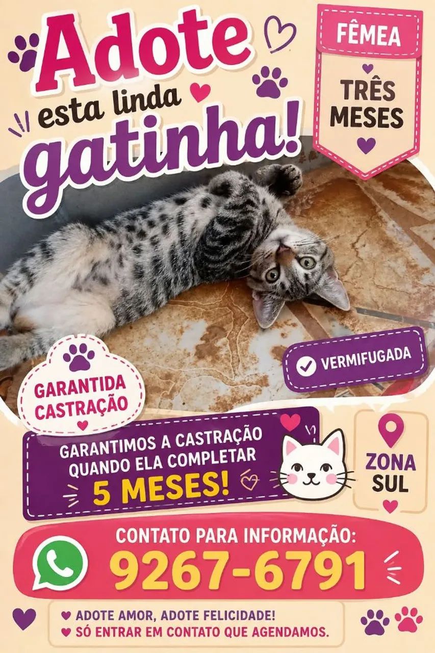 Gatinha pra adoção 