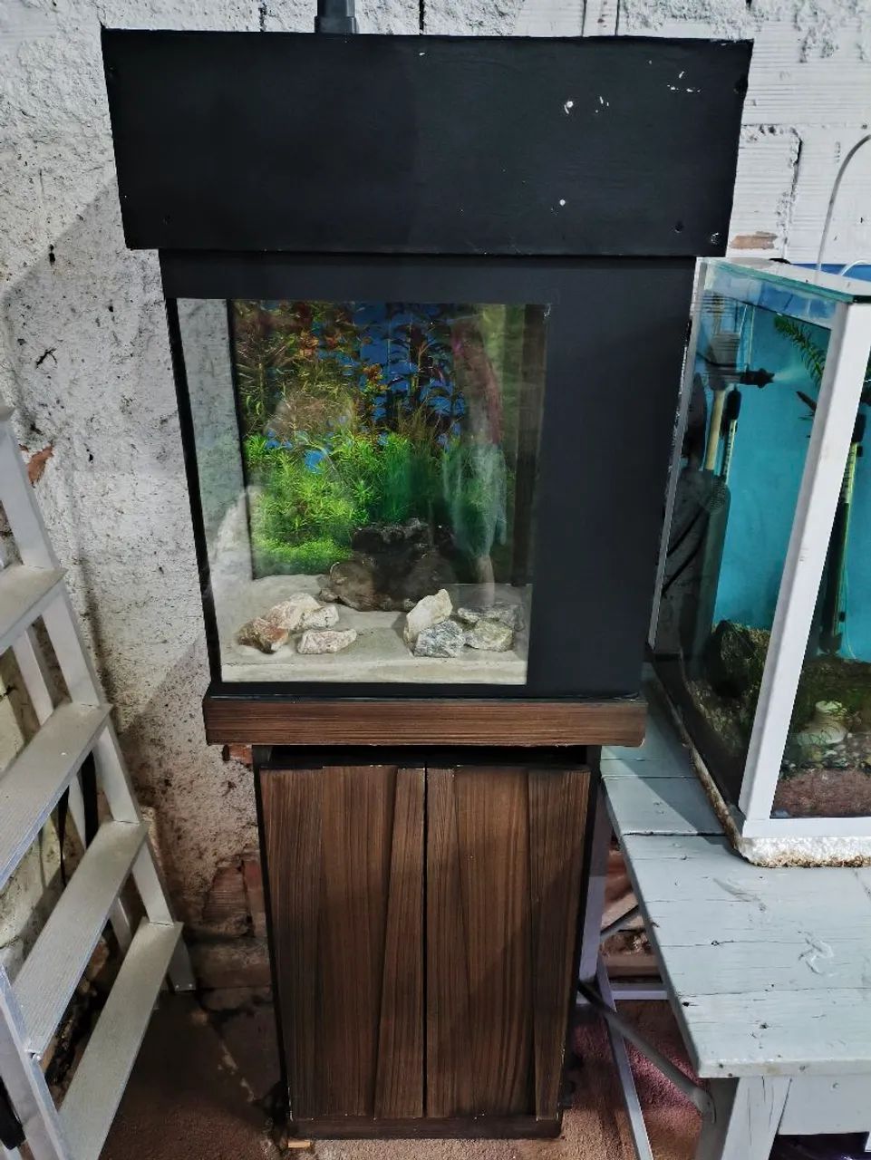Aquário com sump lateral  - Foto 3