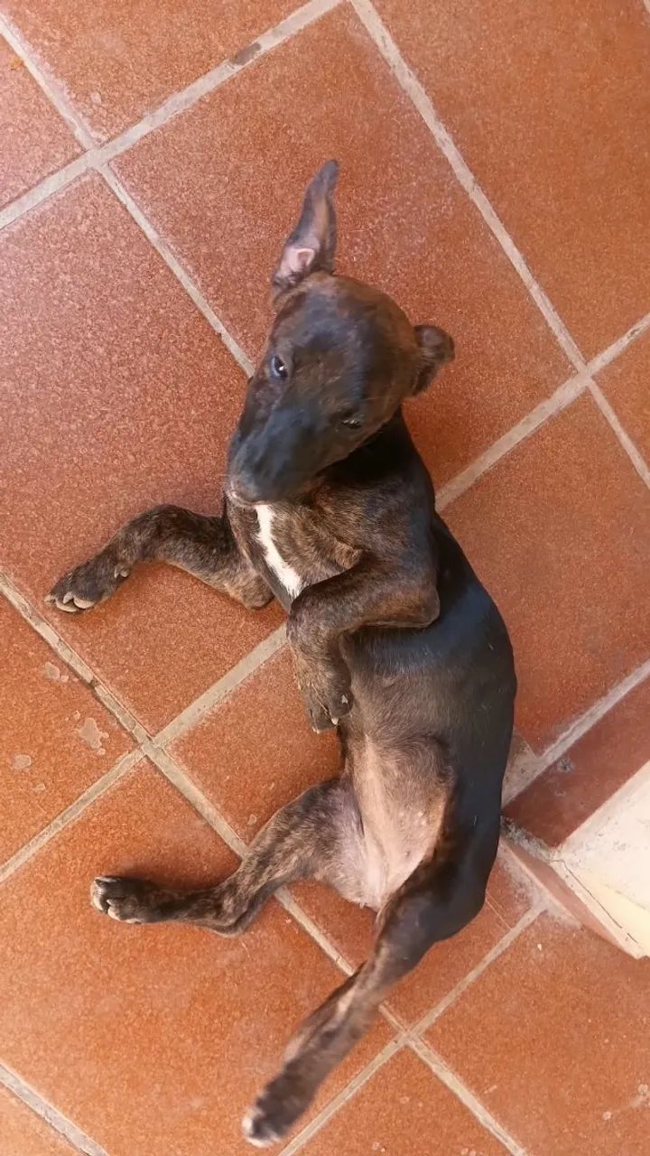 Doação 