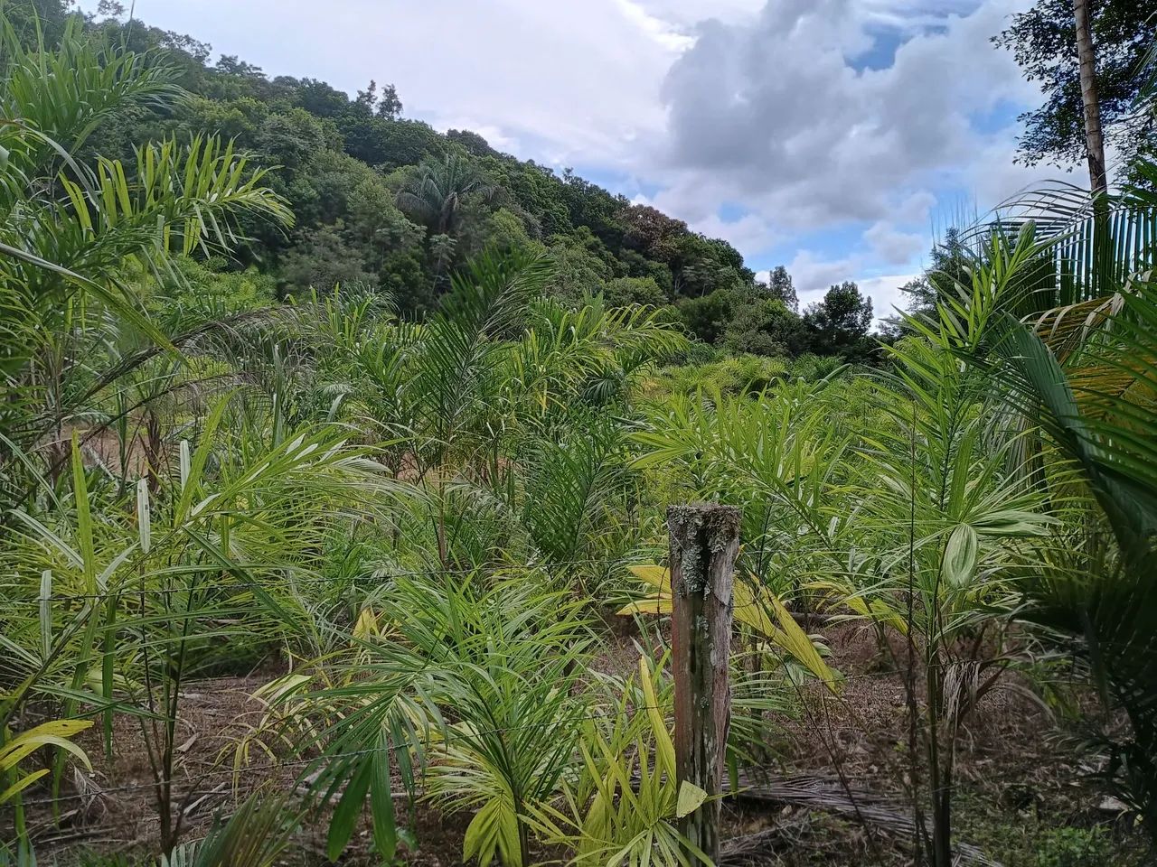 Vendo ou troco  - Foto 4