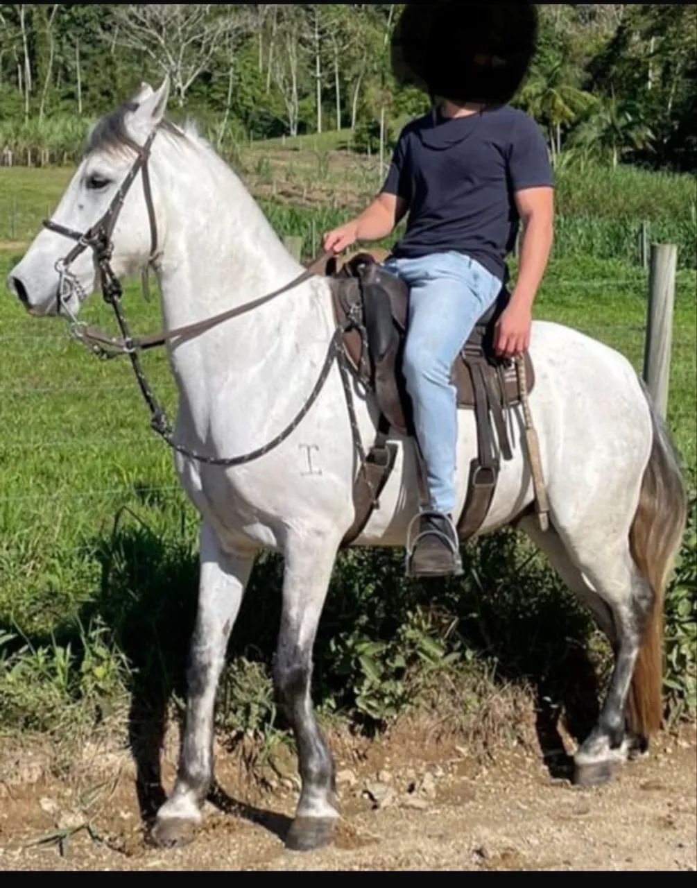 Cavalo manga larga - Foto 3