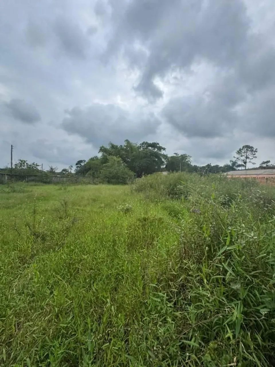 Lote/Terreno à Venda, Coronel - Itanhaém - Foto 2