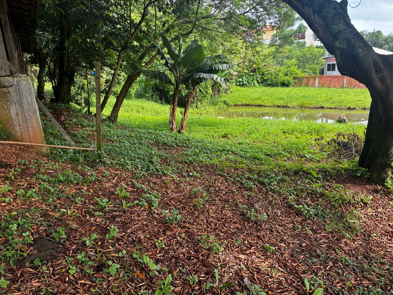 Chácara em Imarui  - Foto 2