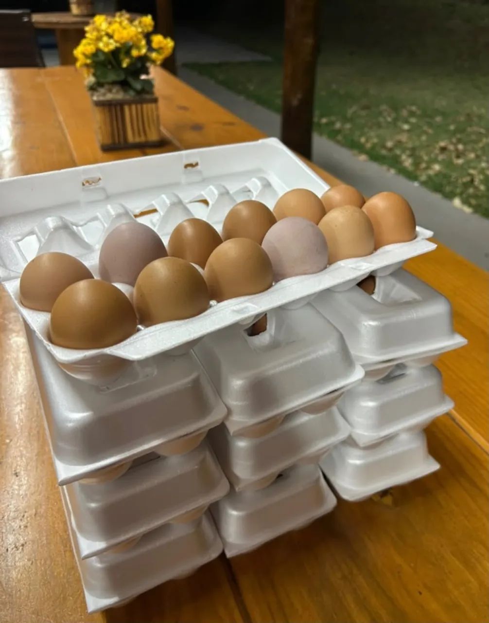 Ovos semi caipira 