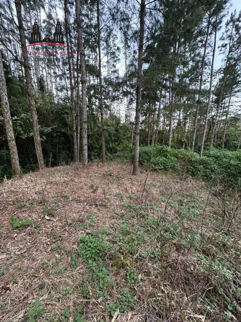 Sítio à venda no Egito, um refúgio em meio à natureza! - Foto 2