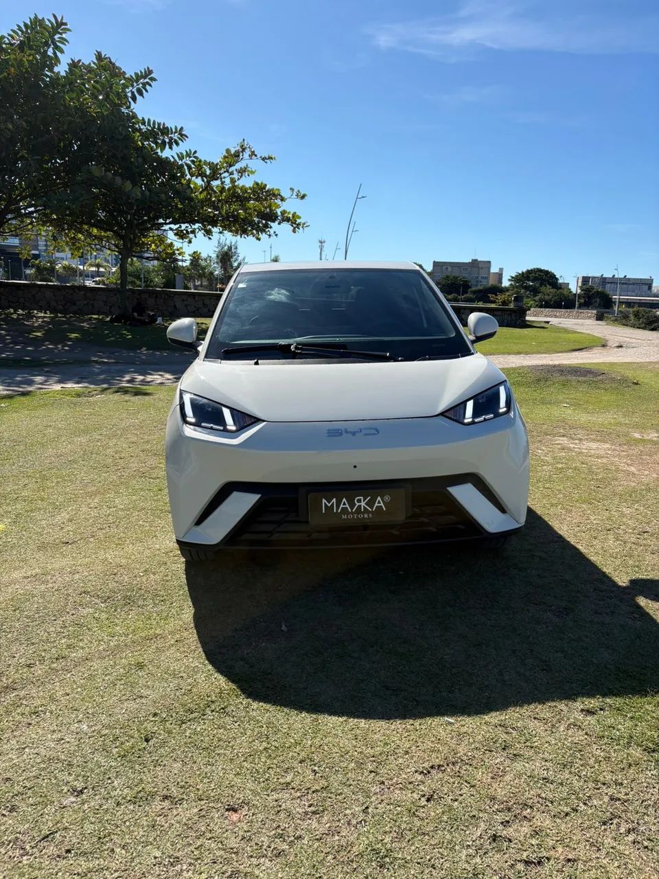 BYD Dolphin Mini (Elétrico) 2026 - Foto 2