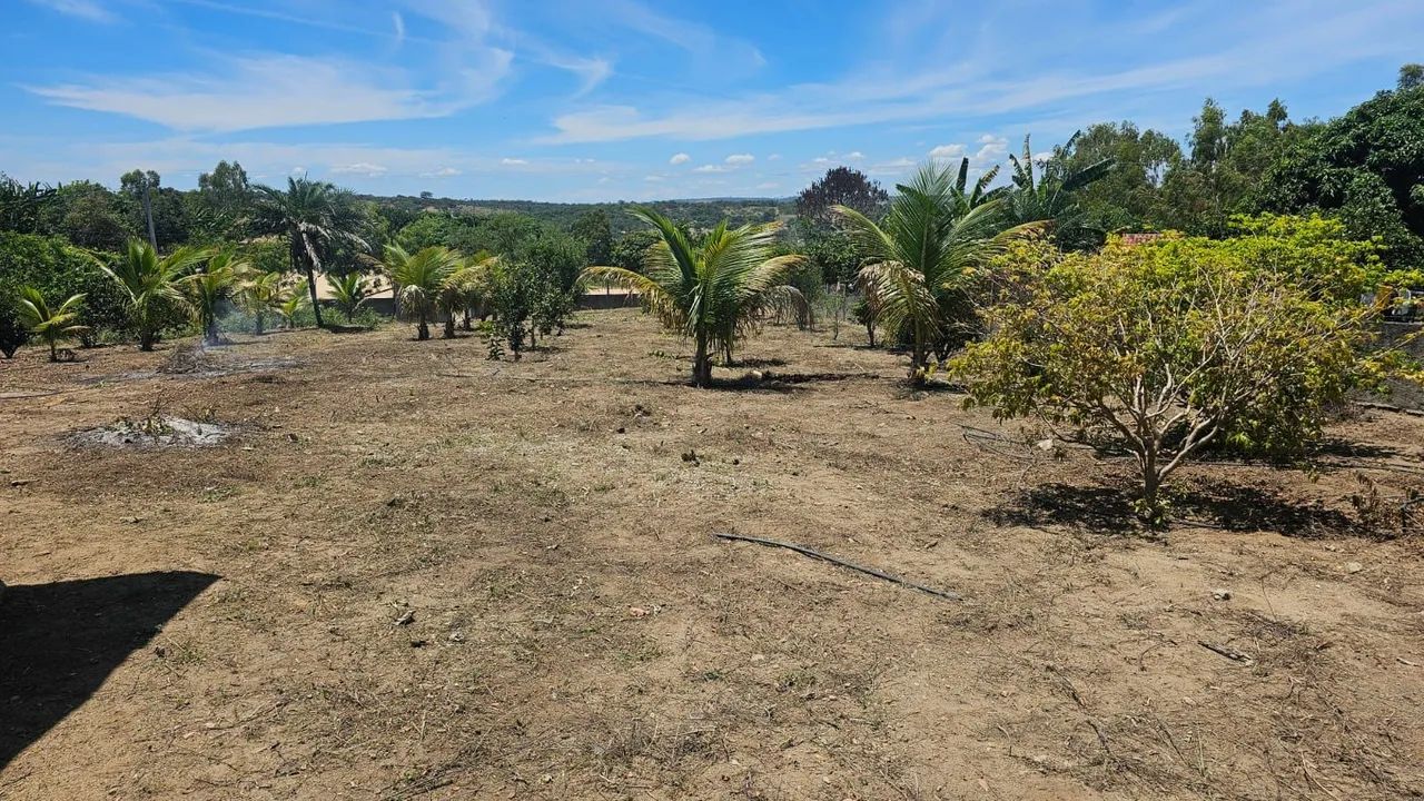 Chácara  - Foto 4