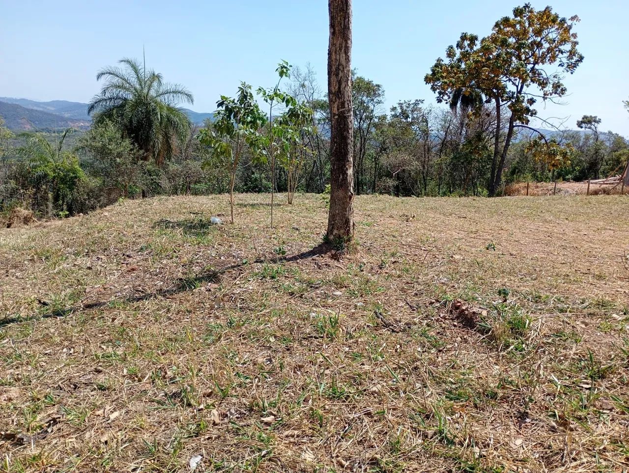 Chacara rural em azurita mateus leme  - Foto 2