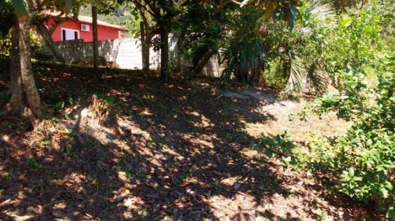 Barbada : Casa na Caiacanga, Ribeirão da Ilha, com 3 dormitórios, área de 650m² - Foto 4