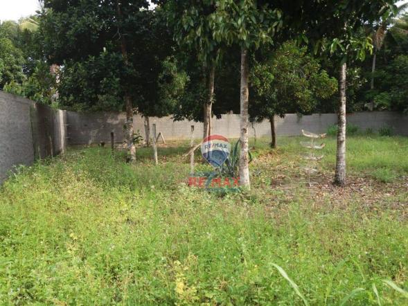Re/max chave de ouro vende terreno próximo ao centro de arraial d? ajuda. localização priv - Foto 11