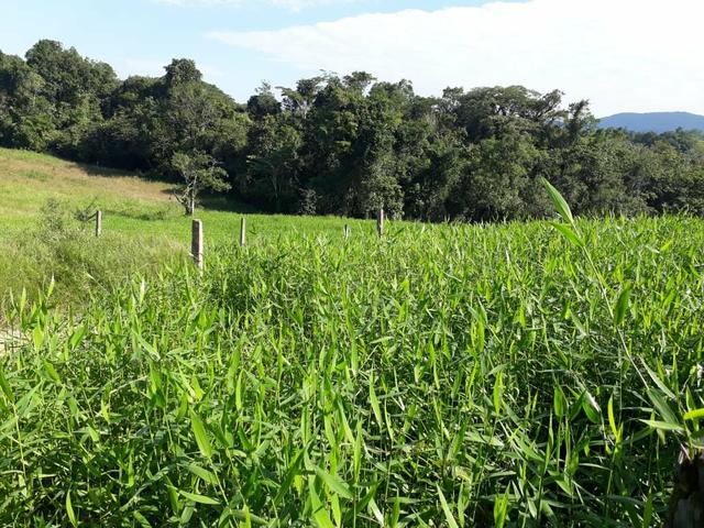 Fazenda completa - Foto 5