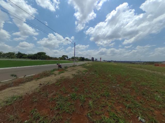 Terreno para alugar com 0 dormitórios em Setor solange, Trindade cod:28420 - Foto 5