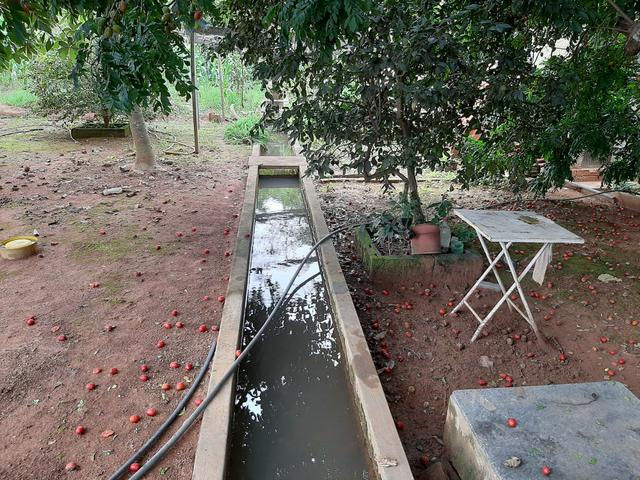 Chácara de 1.500 metros 14 km de Anápolis, com represa e Rego ?água - Foto 9