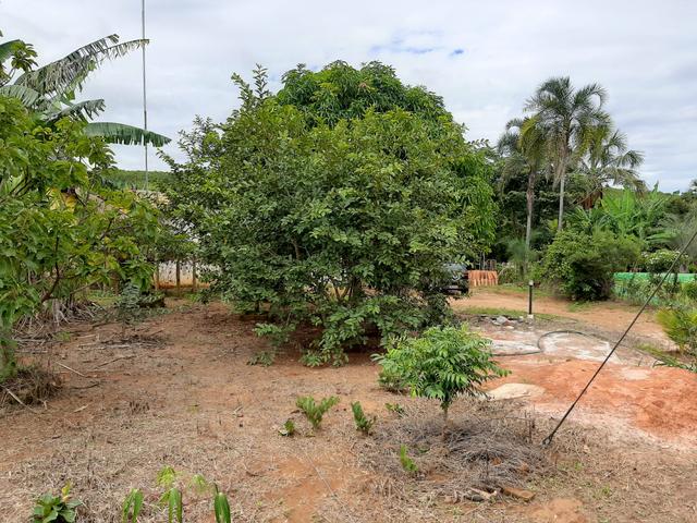 Chácara de 1.500 metros 14 km de Anápolis, com represa e Rego ?água - Foto 14