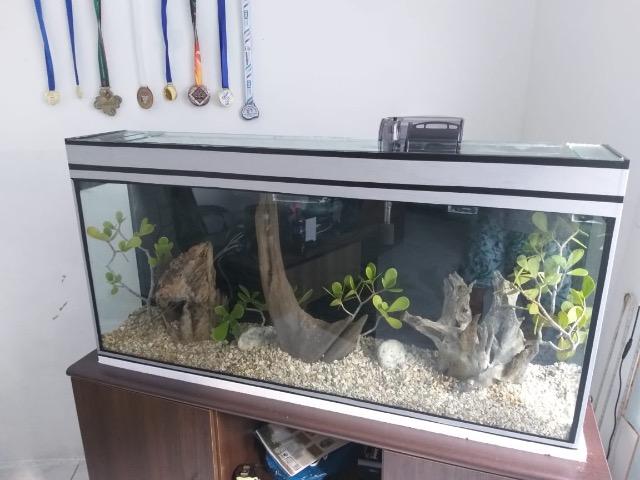 Aquário projetado por um Decorador - Foto 2