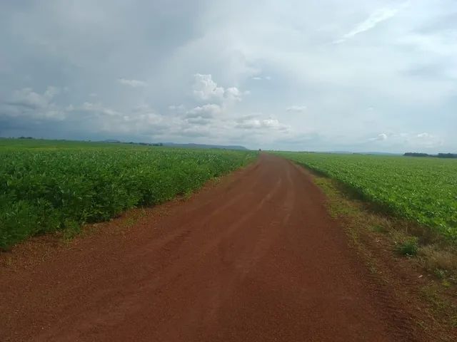 Fazenda de 300 alqueires 75 km de Palmas-TO - Foto 4