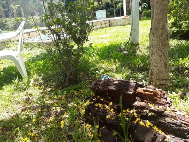 Sítio em Ouro Preto Mg/ Amarantina para temporada - Foto 6