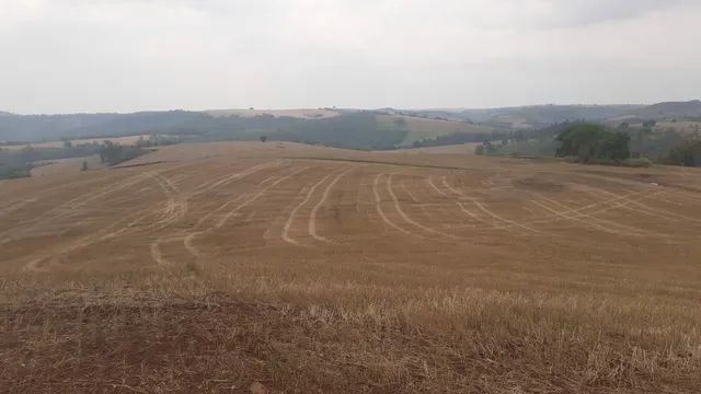 Sitio em Sao Jerônimo da Serra 30 alqueiro  - Foto 2