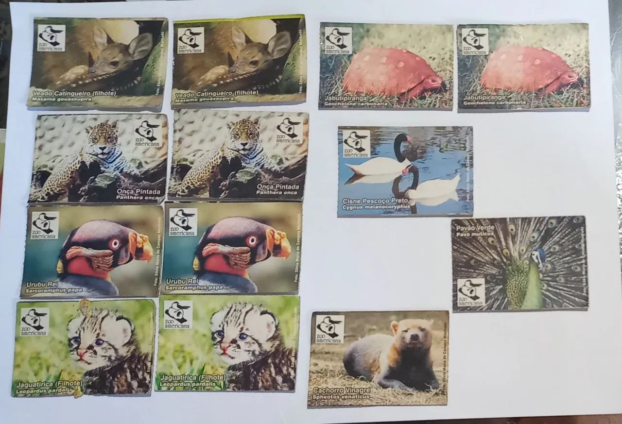 Antigos ingressos do zoo de Americana
