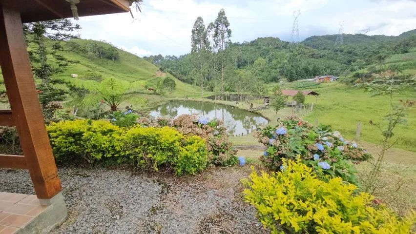 Sitio Fazenda em Angelina om cachoeira - Foto 3
