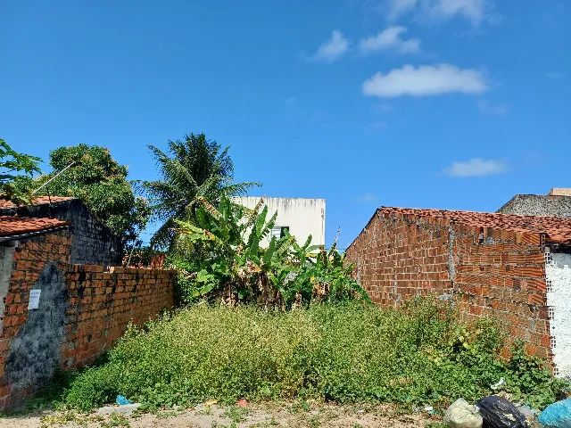 foto - Aracaju - Palestina