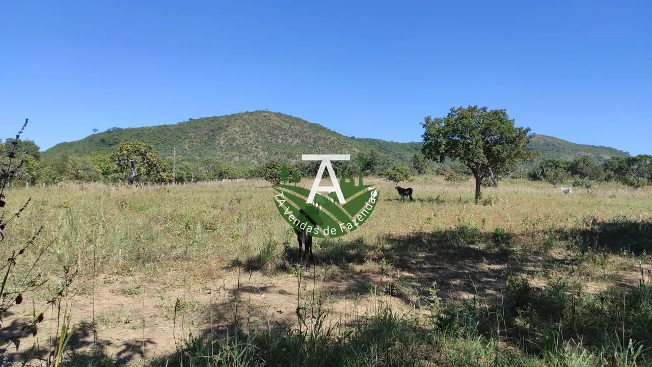 Fazenda no Faina GO 38 alq