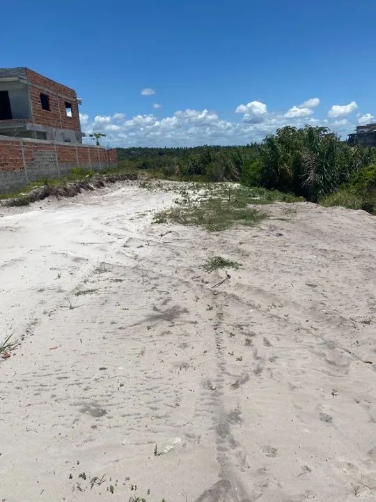 foto - Camaçari - Coqueiros de Arembepe (Abrantes)