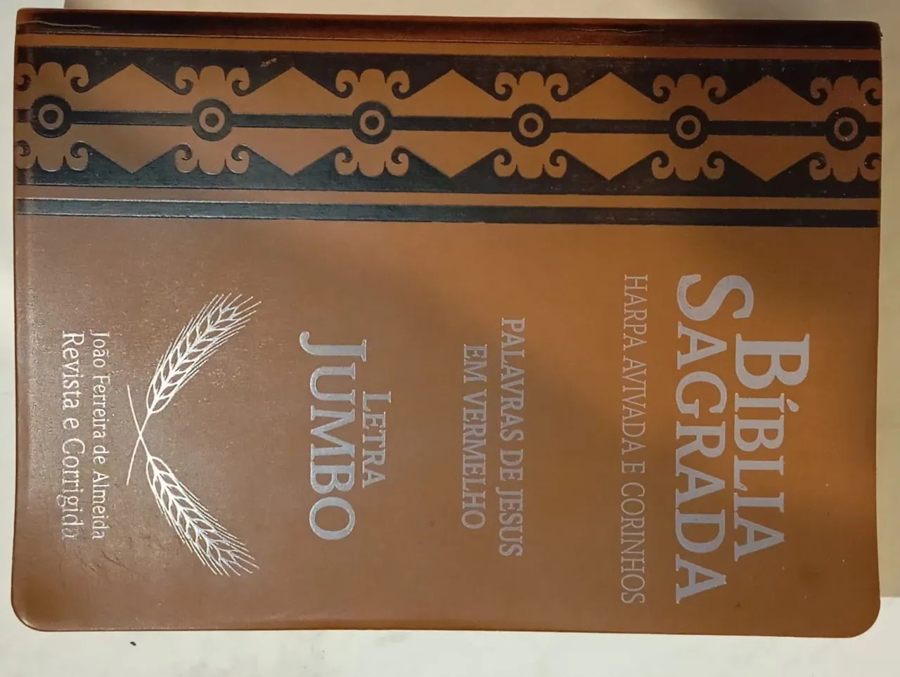 Bíblia Sagrada 