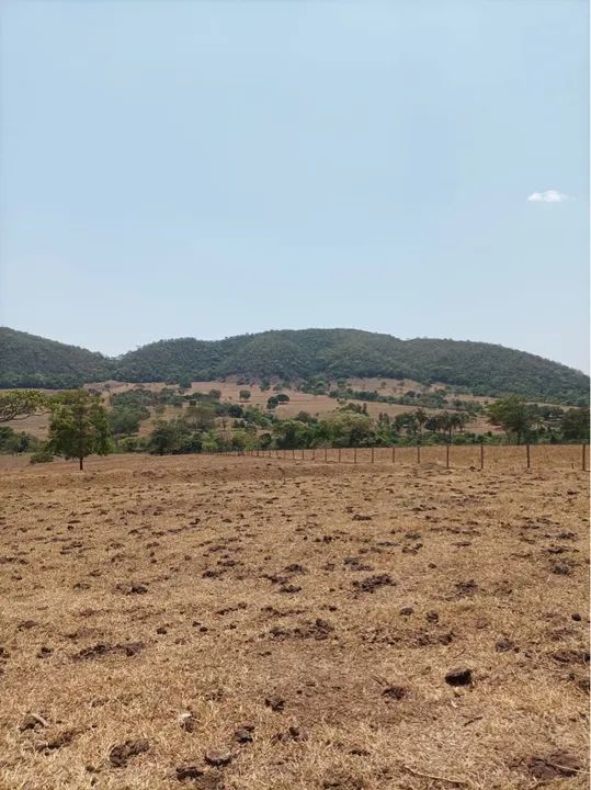 Fazenda de 24 alqueires Santa Rosa-GO