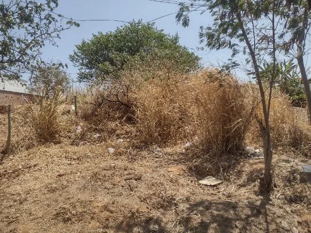 Lote Comercial Liberdade Santa Luzia - Foto 4