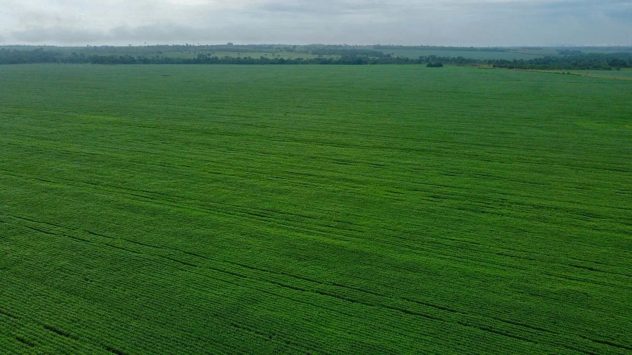Fazenda 700 hect em União do Norte MT. Pede 800 saca por hec - Foto 2