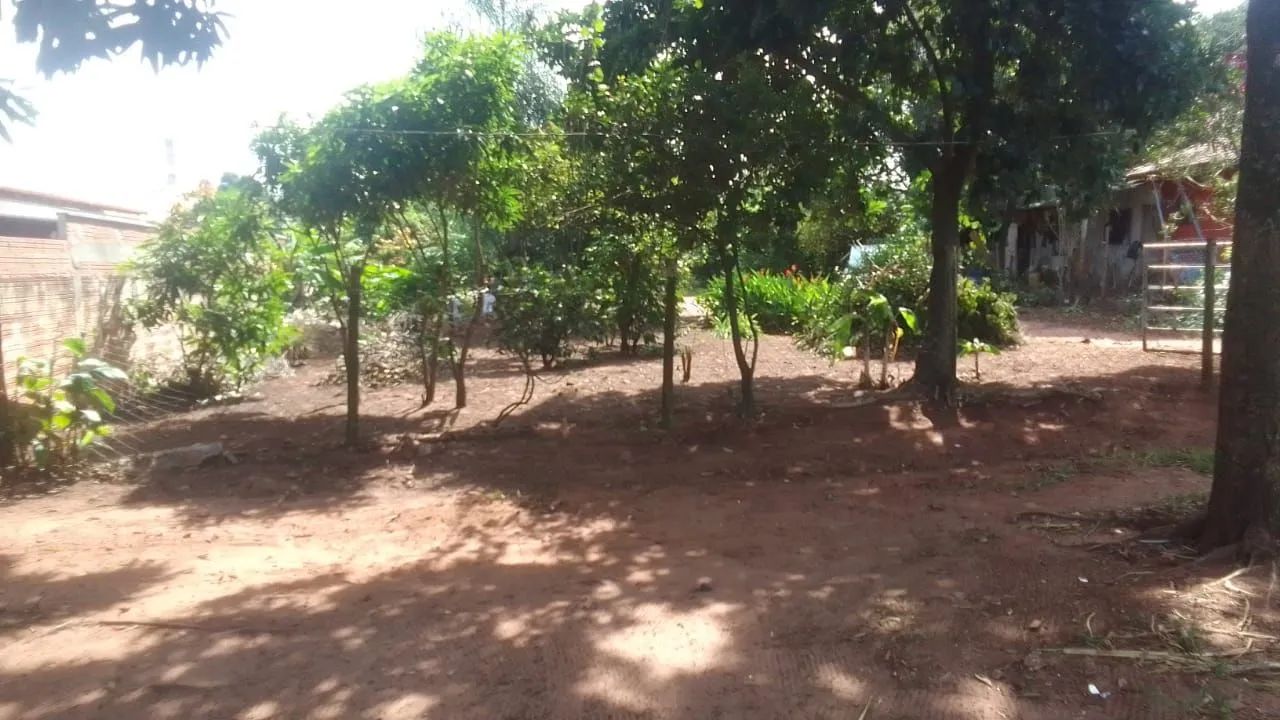 Terreno rural (ABAIXEI PARA VENDER) - Foto 3