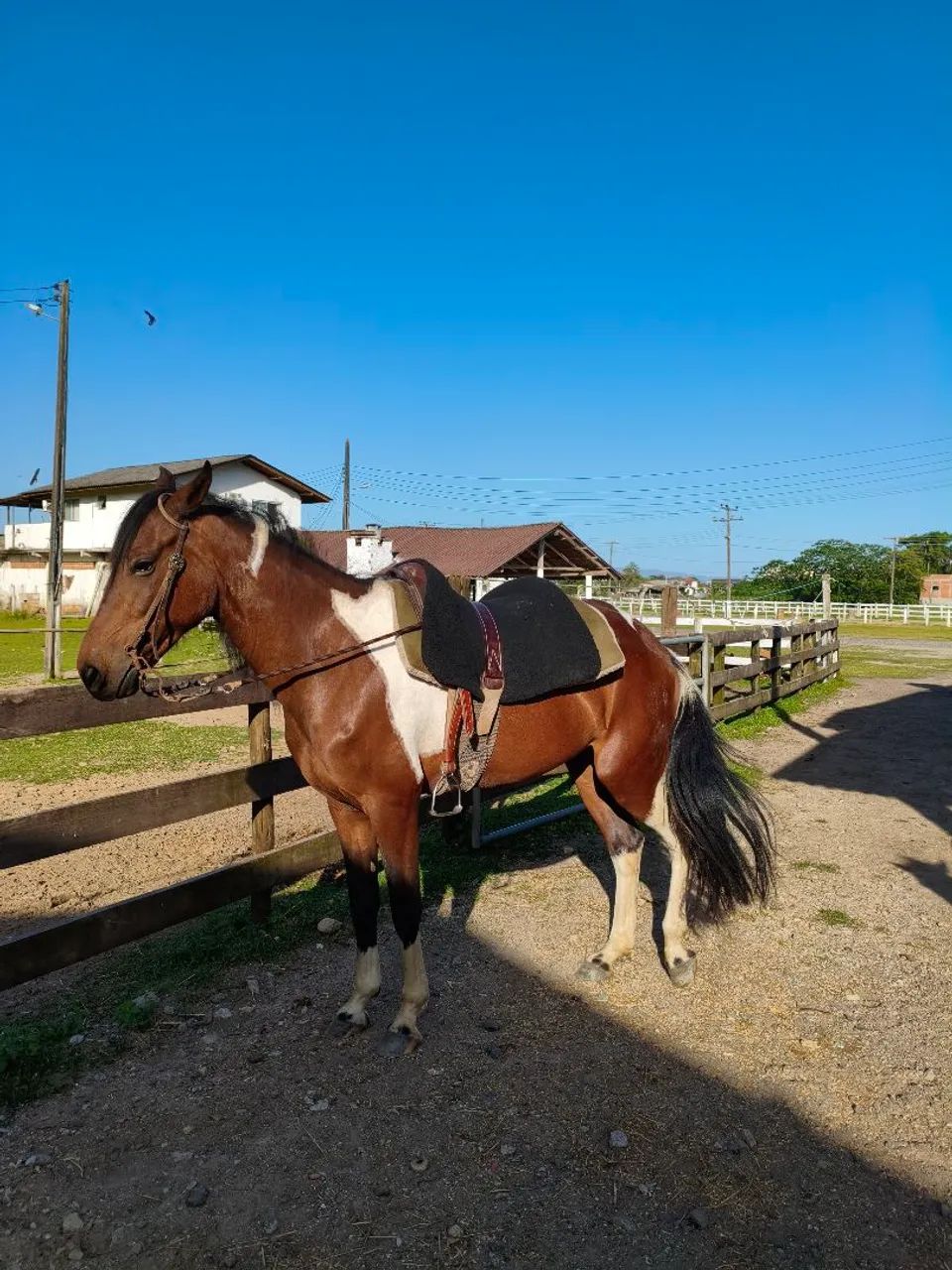Égua manga larga máquina de marchar 