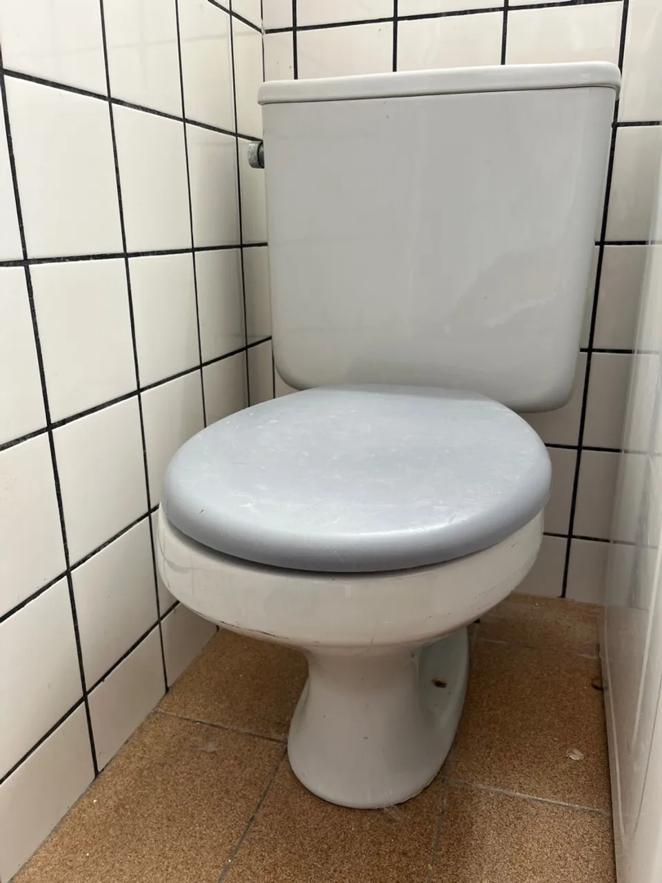 Vaso Sanitário Convencional em ótimo estado