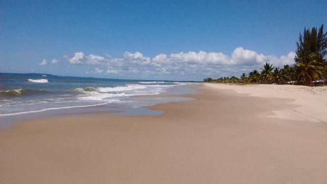 Temporada 2019/2020- Casa Flamboaiã - Praia do Guaibim (Contato por whatsapp) - Foto 3