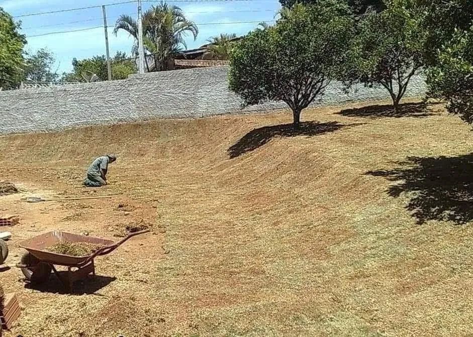 Gramas Já Plantadas - Foto 6
