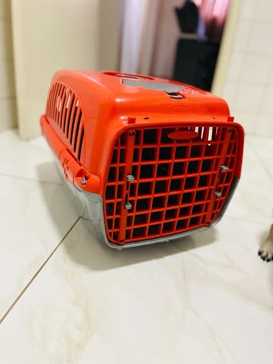 Caixa de transporte Pet Tamanho M pequeno porte  - Foto 2