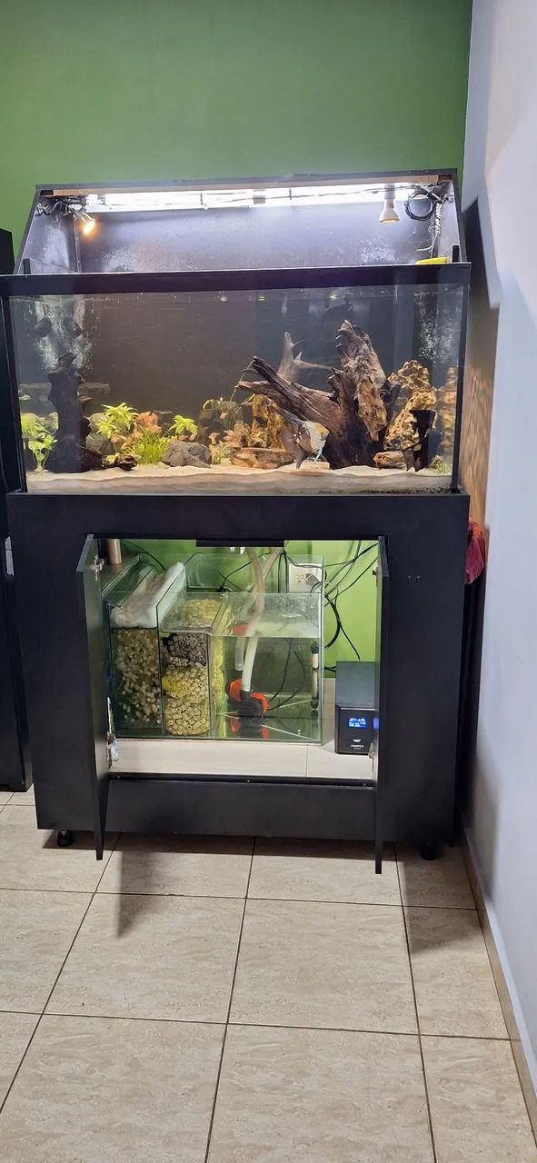 Aquário 540 litros completo com móvel