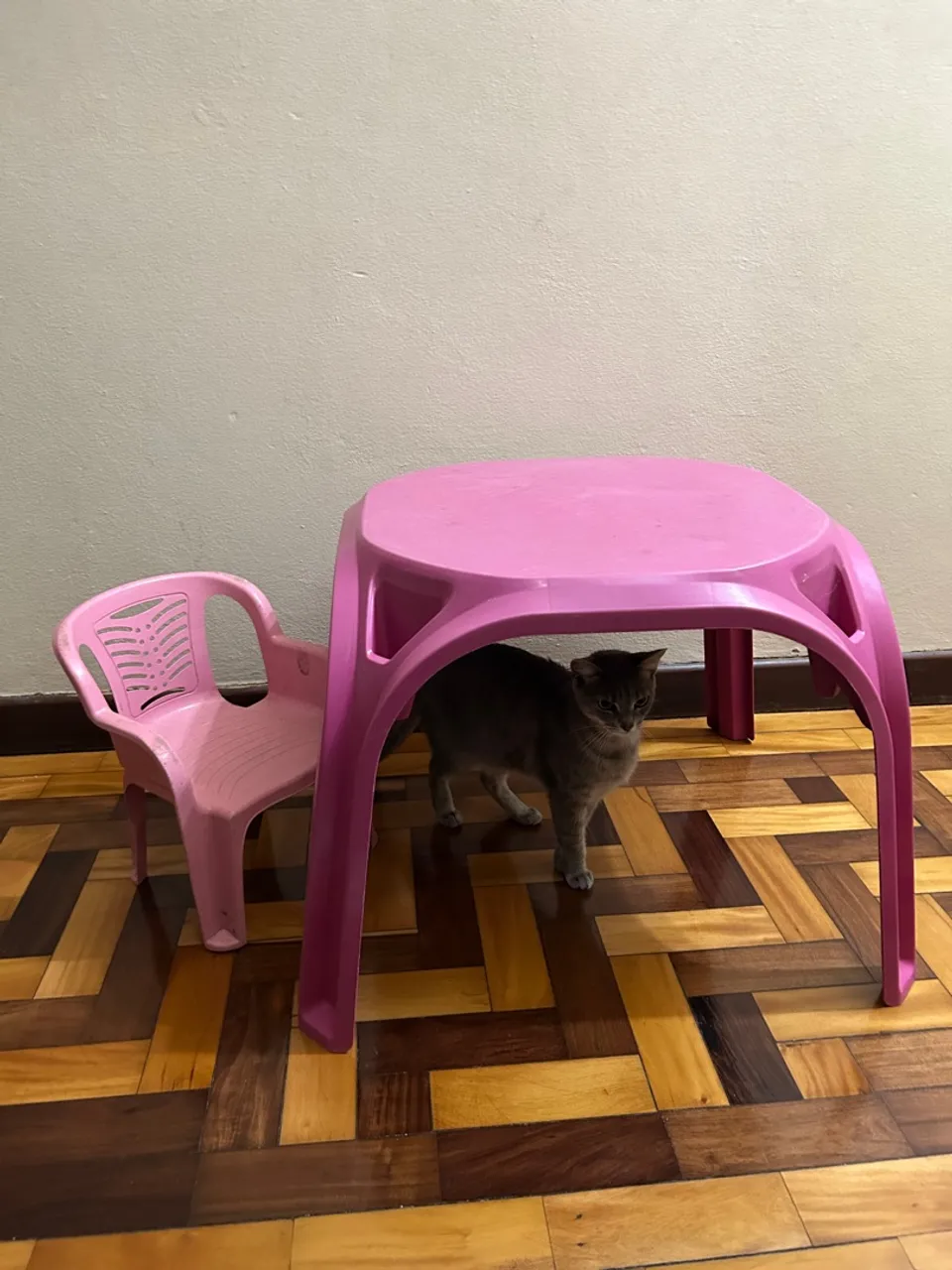 Mesa infantil 