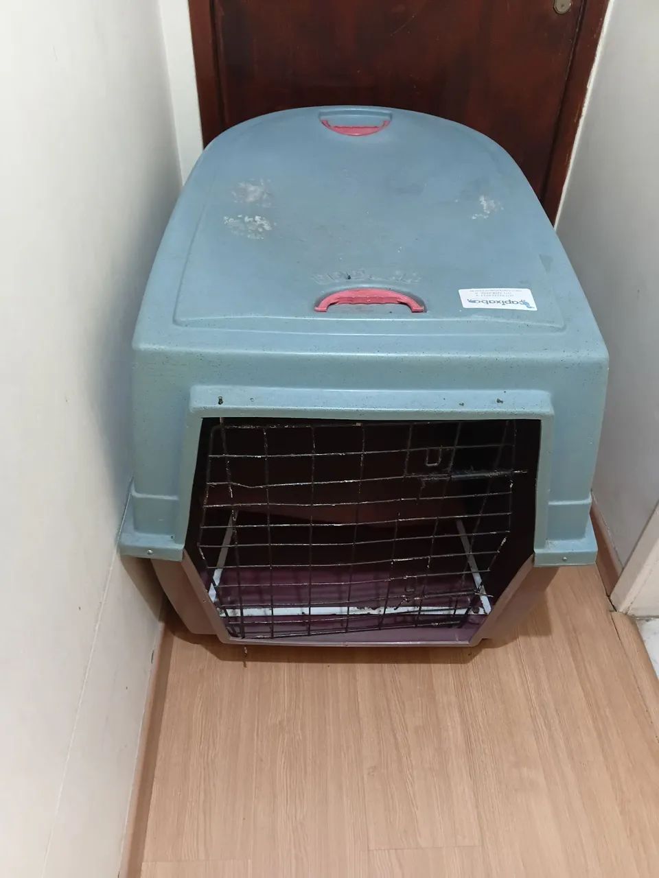 Vendo caixa transporte/ Casa cachorro grande 