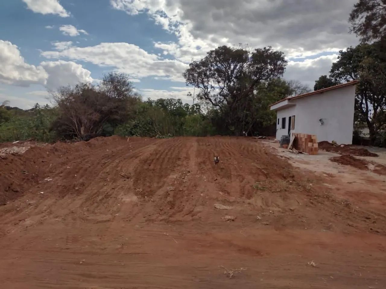 Foto - Bauru - Tangarás