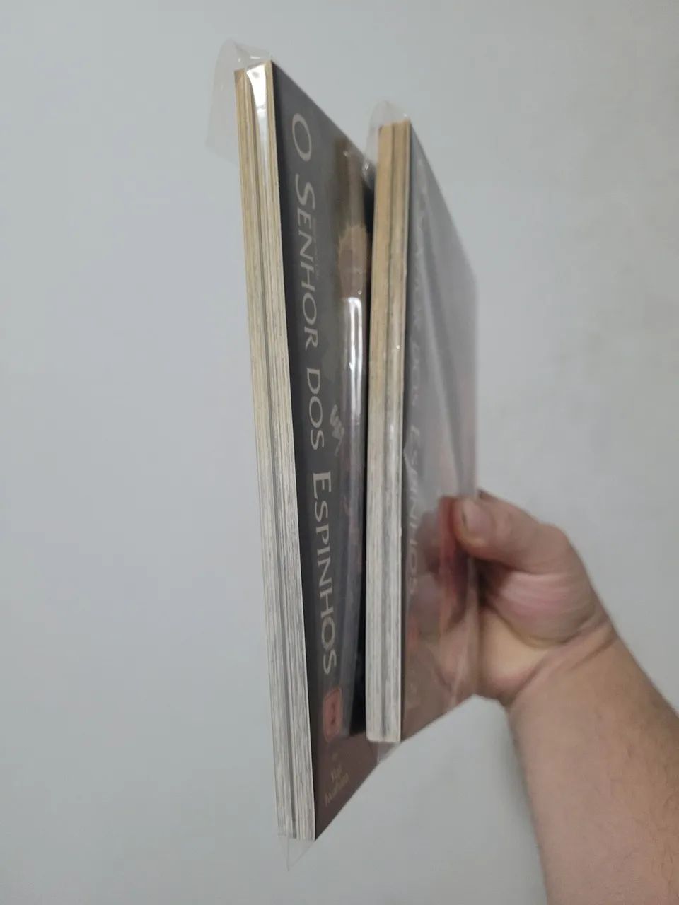 Senhor dos Espinhos vol 1 e 2  - Foto 2