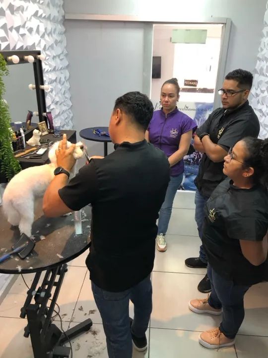 Curso de banho e tosa  - Foto 4