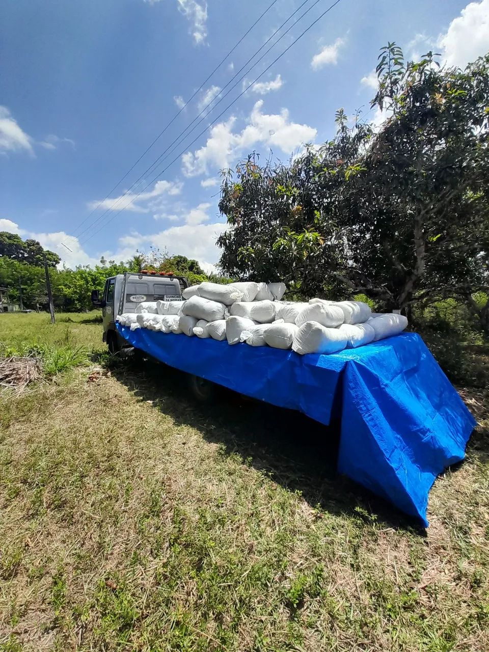 VENDO SILO BRS CAPIAÇU SILAGEM DE QUALIDADE  - Foto 4